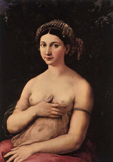 RAFFAELLO Sanzio Portrait of a Young Woman oil painting picture